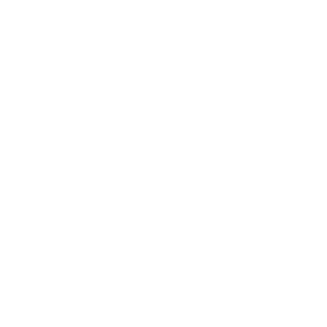 Icône objectif