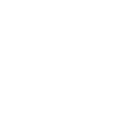 icon-network-1
