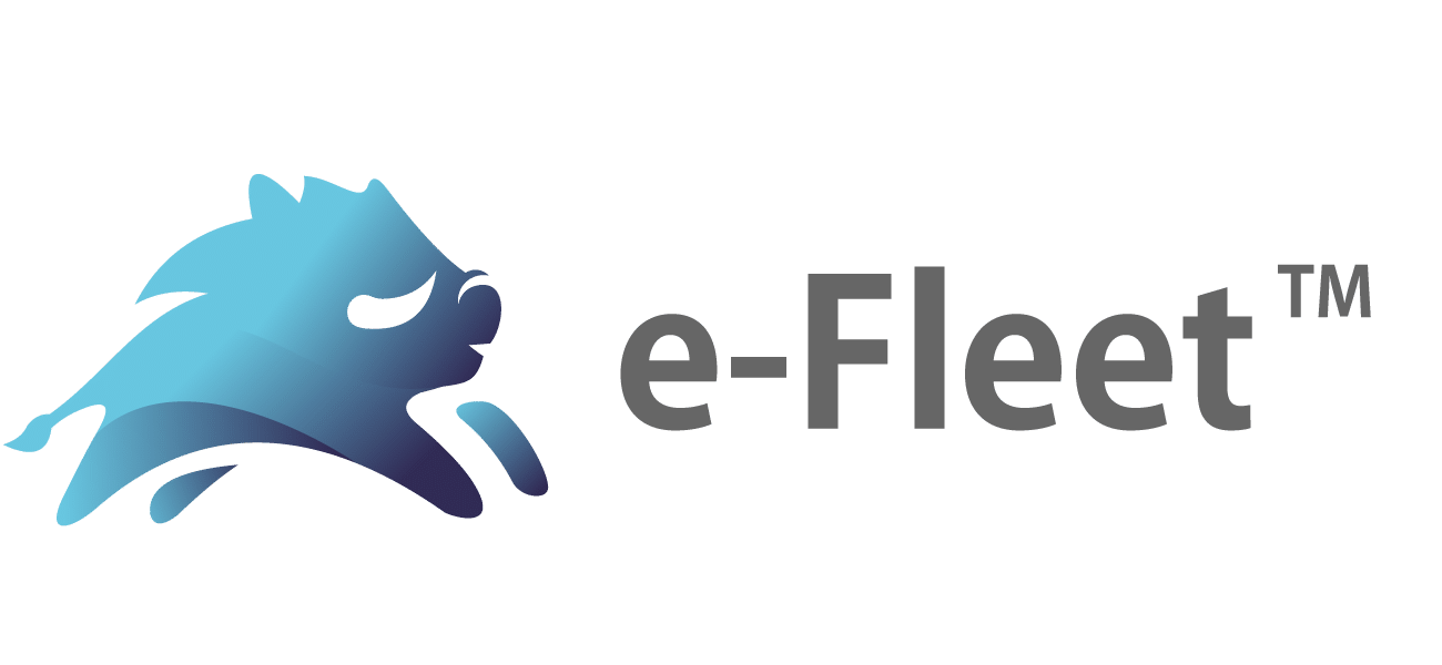 e-fleet