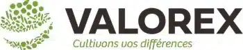 Logo Valorex